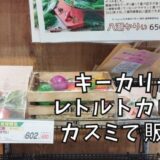 きーかりーのレトルトカレー